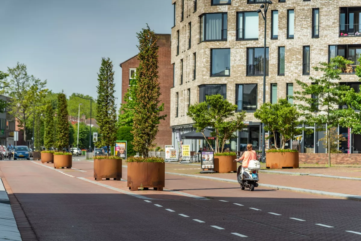 Panache Straatmeubilair Mobilier Urbain POC Curved Wortelverzorgingssysteem Système d'entretien des racines